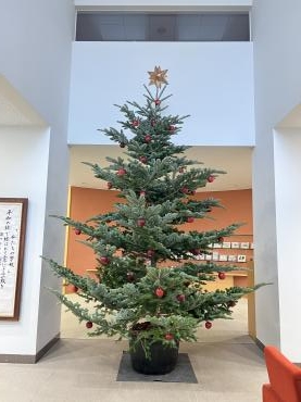 クリスマスツリー　3.5m /1.8m｜「木村ガーデン」　（東京都渋谷区の花キューピット加盟店 花屋）のブログ