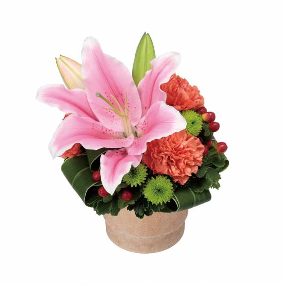 5000円 ～ 8000円まで の花 | 東京都渋谷区の花屋 木村ガーデン