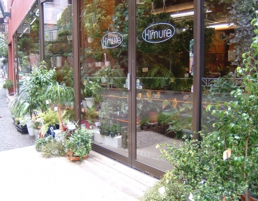 渋谷にあるインテリアにも馴染む植物やガーデニング用品が買える園芸店まとめ Pathee パシー